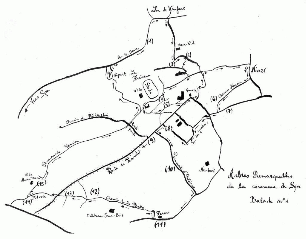 Plan de la balade des arbres remarquables.