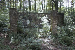 Les ruines actuelles de cages du zoo