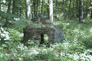 Les ruines actuelles de cages du zoo