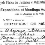 Certificats reçus par M. Detraux lors de concours aux expositions et meetings horticoles de la Société Royale l’Union des Jardiniers et Cultivateurs.