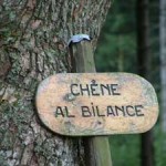 Chêne al bilance