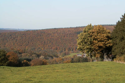 Vue sur la forêt de Staneux