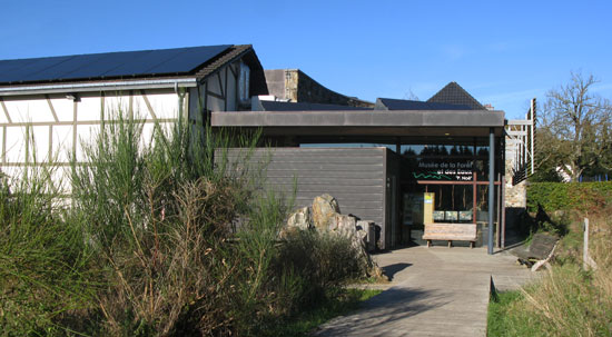 Le nouveau musée de la forêt.