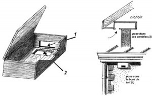 Nichoir pour martinet