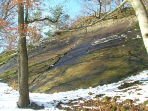 La Roche Plate