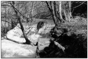 La photo est prise du "Preit (pré) de la Venne", aujourd'hui, Comptoir Franco-Belge. La vanne est visible à droite du barrage. Il reste des traces du bief supérieur et du chemin du fourneau.