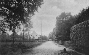 1902 : Carte postale : au centre le pignon Est de « La Bicoque » et au fond à gauche se profile « Nivezé Farm »